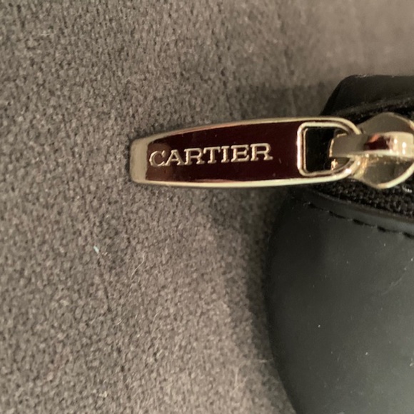Cartier Sunglasses (Frames) - Picture 11 of 15